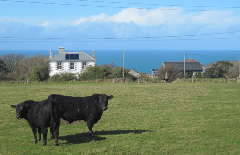 Boswednack Manor B&B bed and breakfast  & self catering cottage st Ives stone circle Cornwall